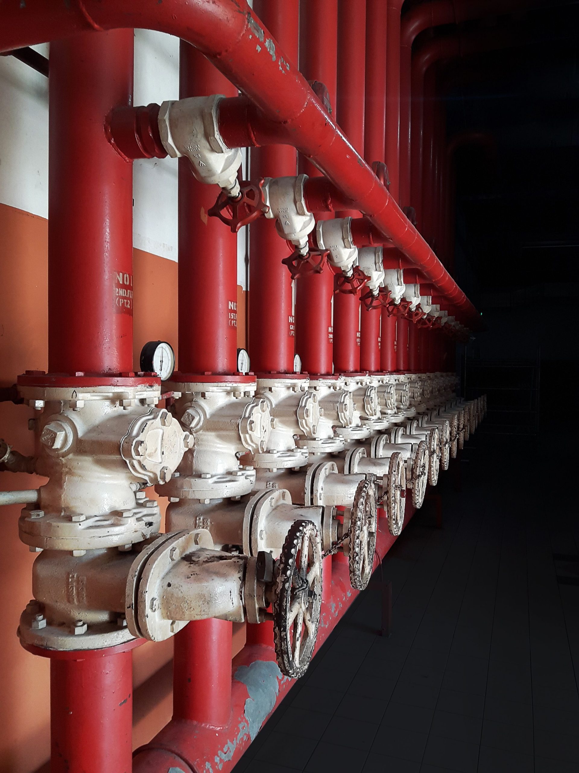 Fire safety for exposed steel structures in buildings