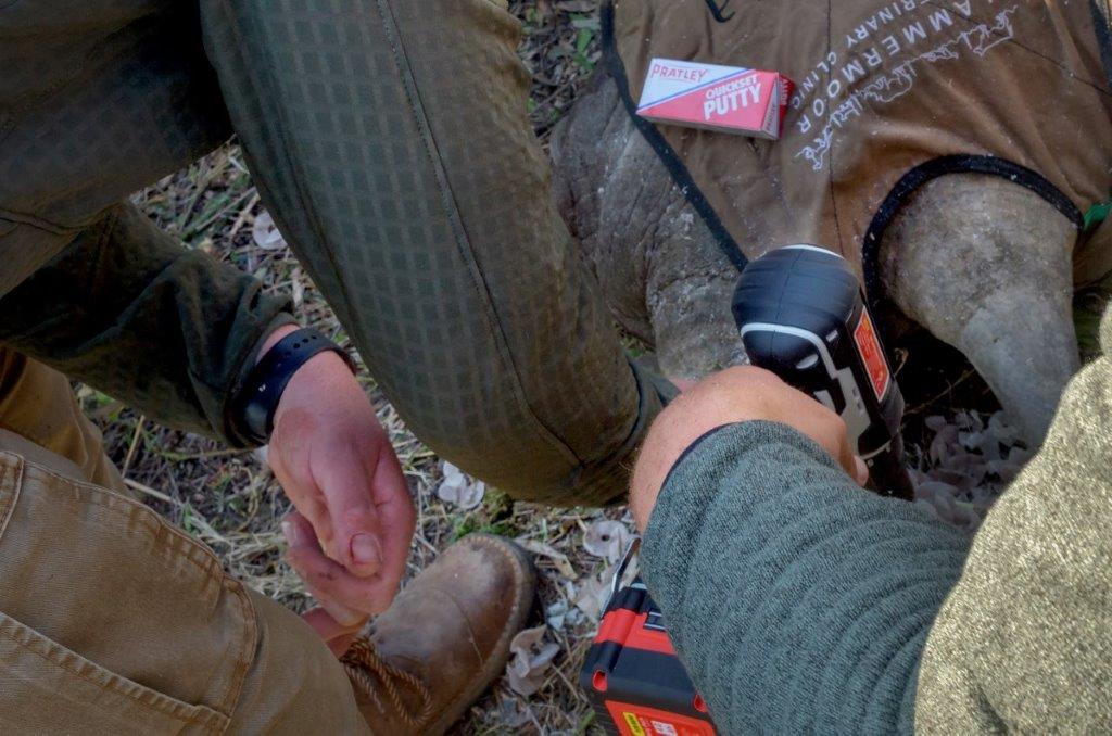 Local adhesive putty continues to support rhino conservation efforts